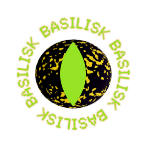 BSX Logo