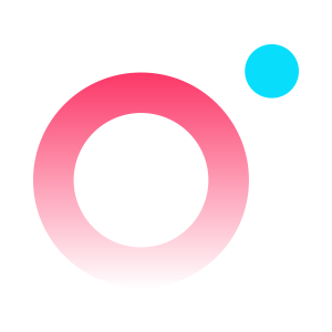PolkaFoundry Logo