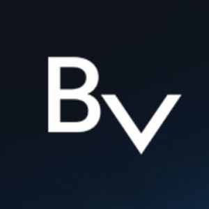 BLOCKv Logo