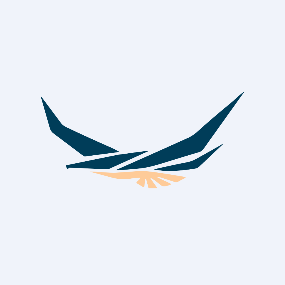 Hawk Systems Inc logo