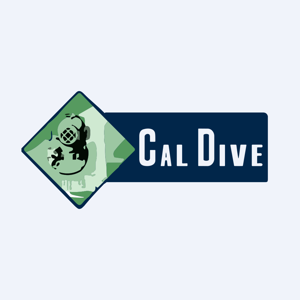 Cal Dive International Inc logo