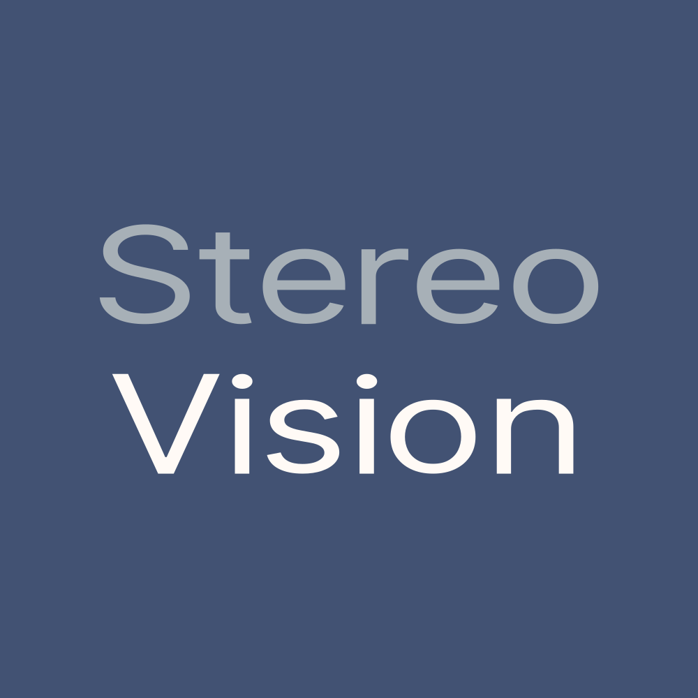 Stereo Vision Entertainment Inc logo