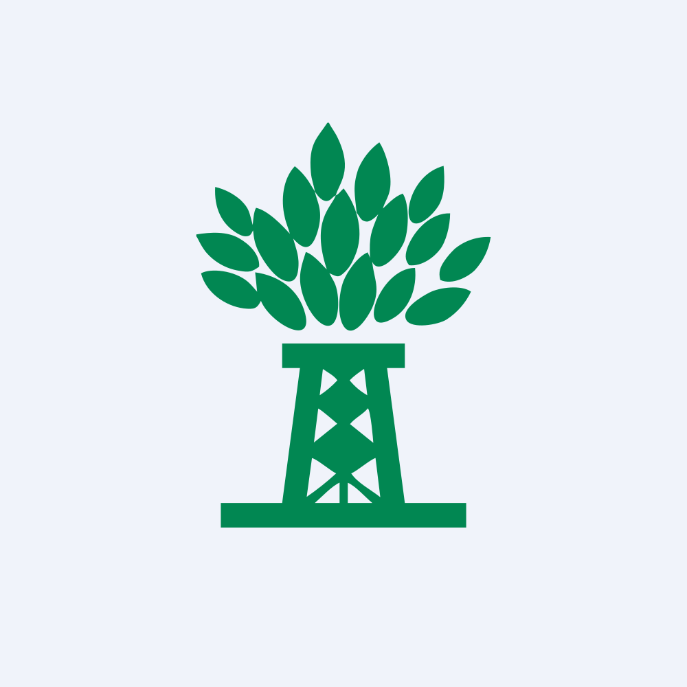 NPK International Inc logo