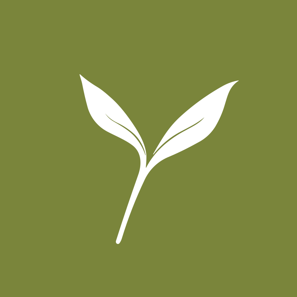 Banyan Corp logo