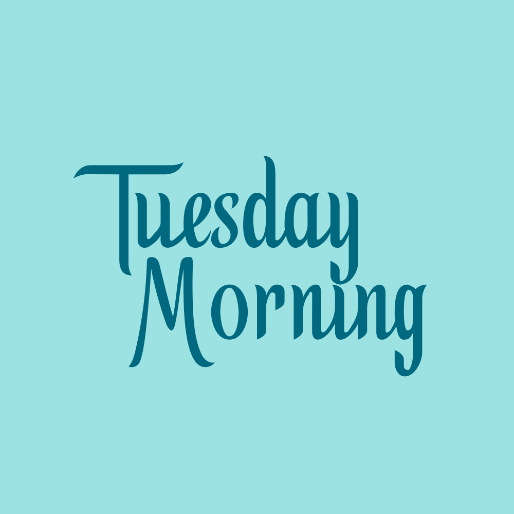 Tuesday Morning Corp logo