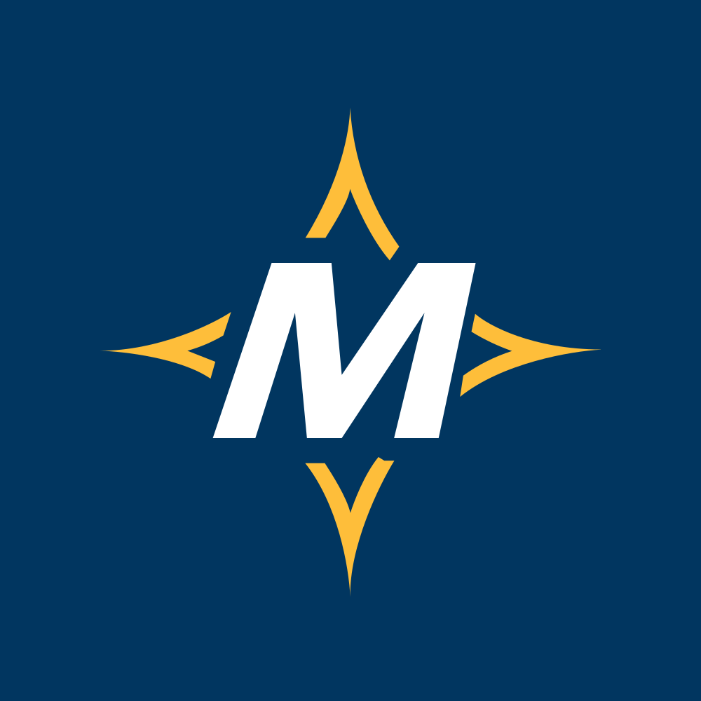 Mister Car Wash Inc logo