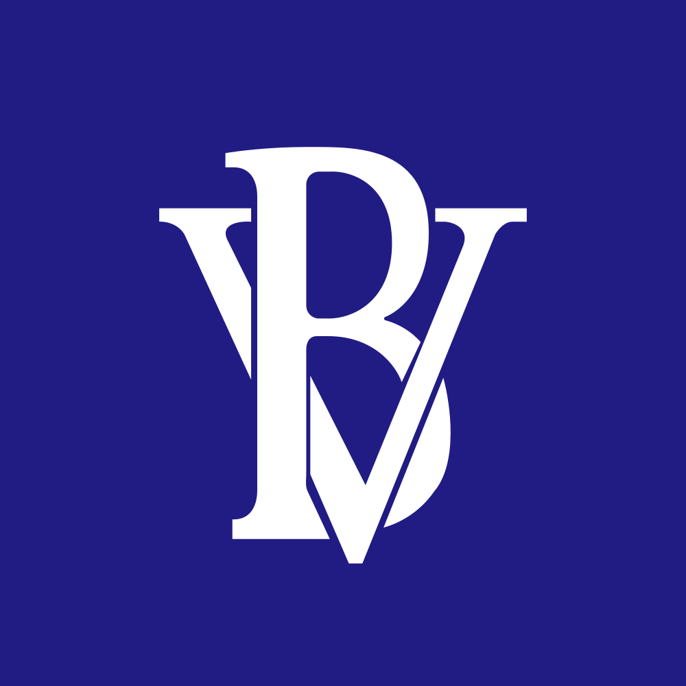BV Financial Inc logo