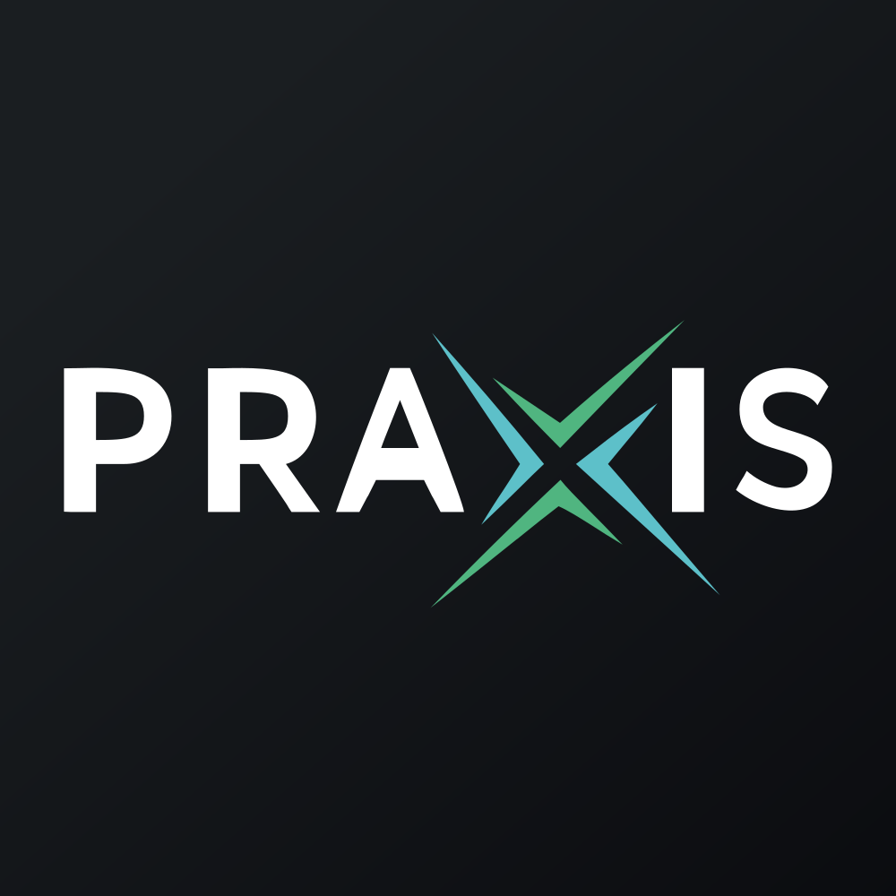 Praxis Precision Medicines Inc logo
