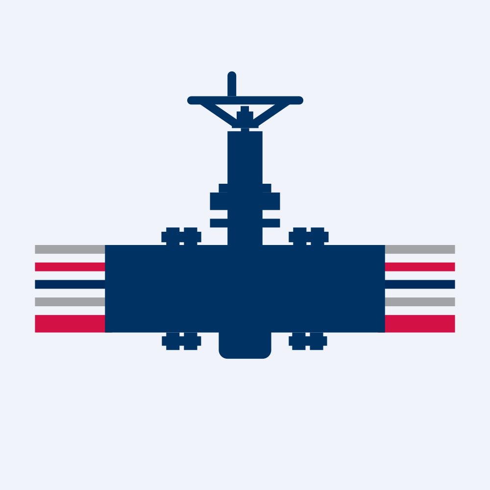 PLAINS GP HOLDINGS logo