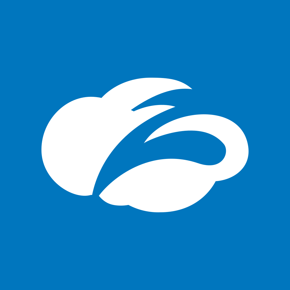 Zscaler Inc